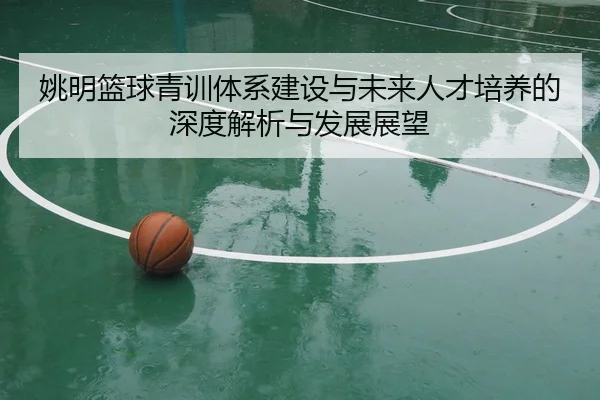 姚明篮球青训体系建设与未来人才培养的深度解析与发展展望 | Kaiyun